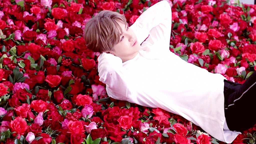 ratedlu_han's tweet photo. https://t.co/gjXgpLQYpP