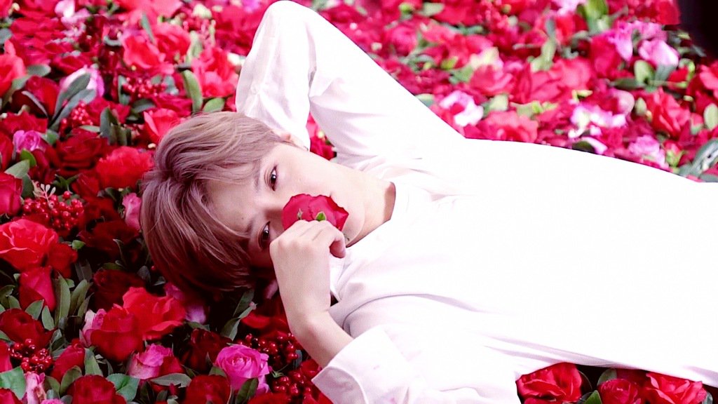 ratedlu_han's tweet photo. https://t.co/gjXgpLQYpP