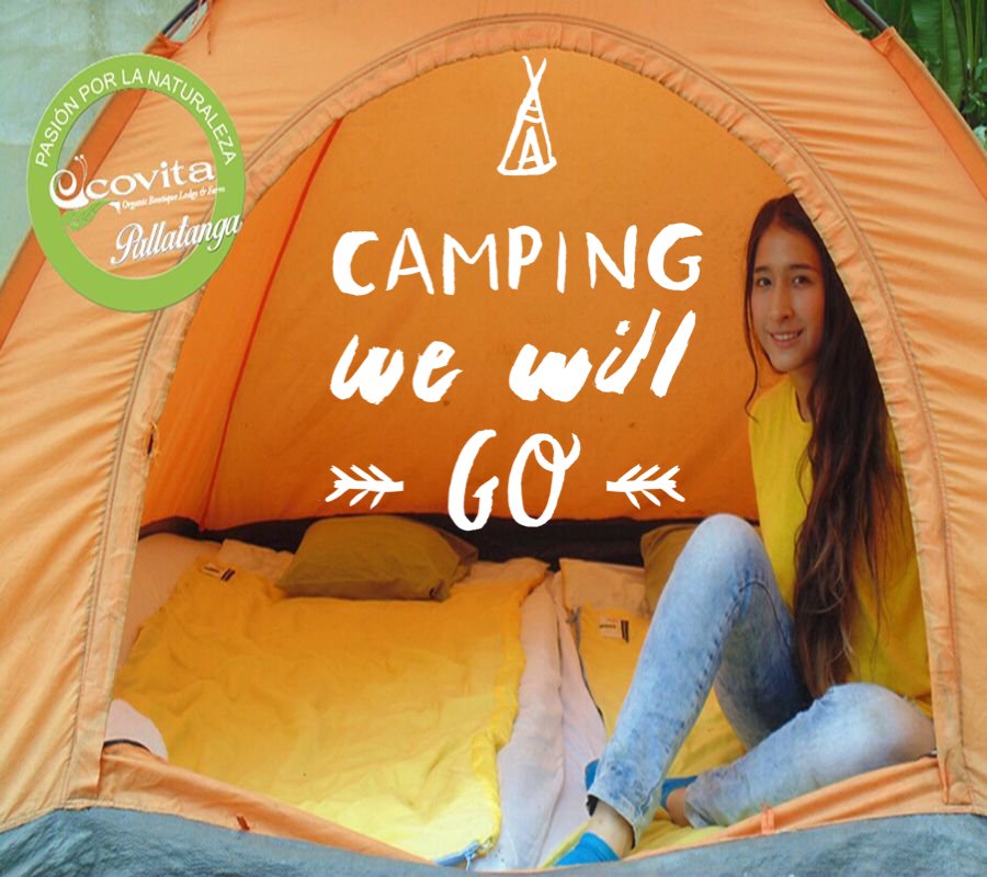 ECOVITAGROUP's tweet photo. Vamos de camping 🎒⛺️
USD$19.99/noche/persona
Tarifa de Hospedaje incluido desayuno🍳 

https://t.co/5lTeYJpPzo / WS:0999085226
#pallatanga #camping #ecuador  #campingecuador #travel #tripecuador https://t.co/NxuEKuCCpv