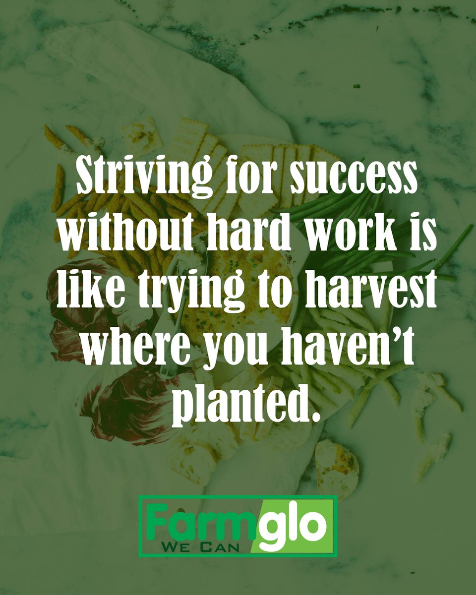farmgloafrica's tweet photo. Striving for success.
#proudfarmer #organicfarming #agriculture #agribiz #agriprenuer #healthylifestyle #healthyfood #food #foodsecurity #AgribusinessTalk254 #climatechange #AGRwinter2018 #AgTech #CAConference2018 #DevolutionConference2018 https://t.co/HctBuEO3jc
