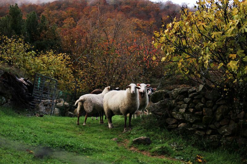 Feliz Lunes!! #LaTejea #buenosdias #artesanal