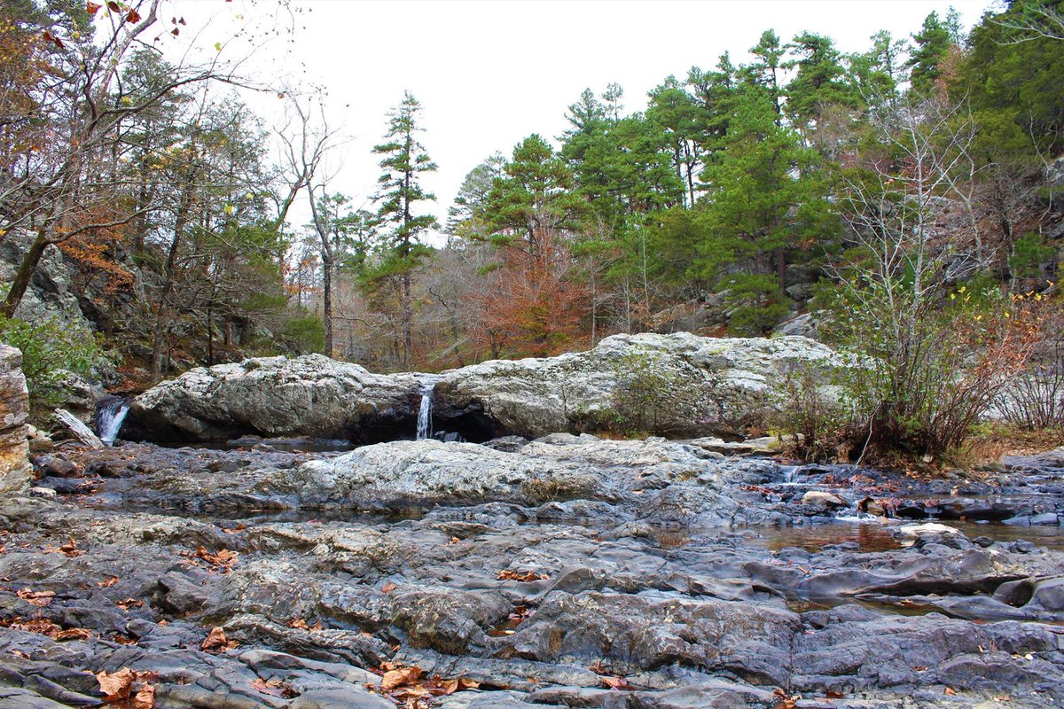 NationalForests's tweet photo. Do you have a stunning photo of our National Forests? We want to feature it on Instagram. Submit it here: https://t.co/POlqaT6L0H https://t.co/4n2nkPEVj8