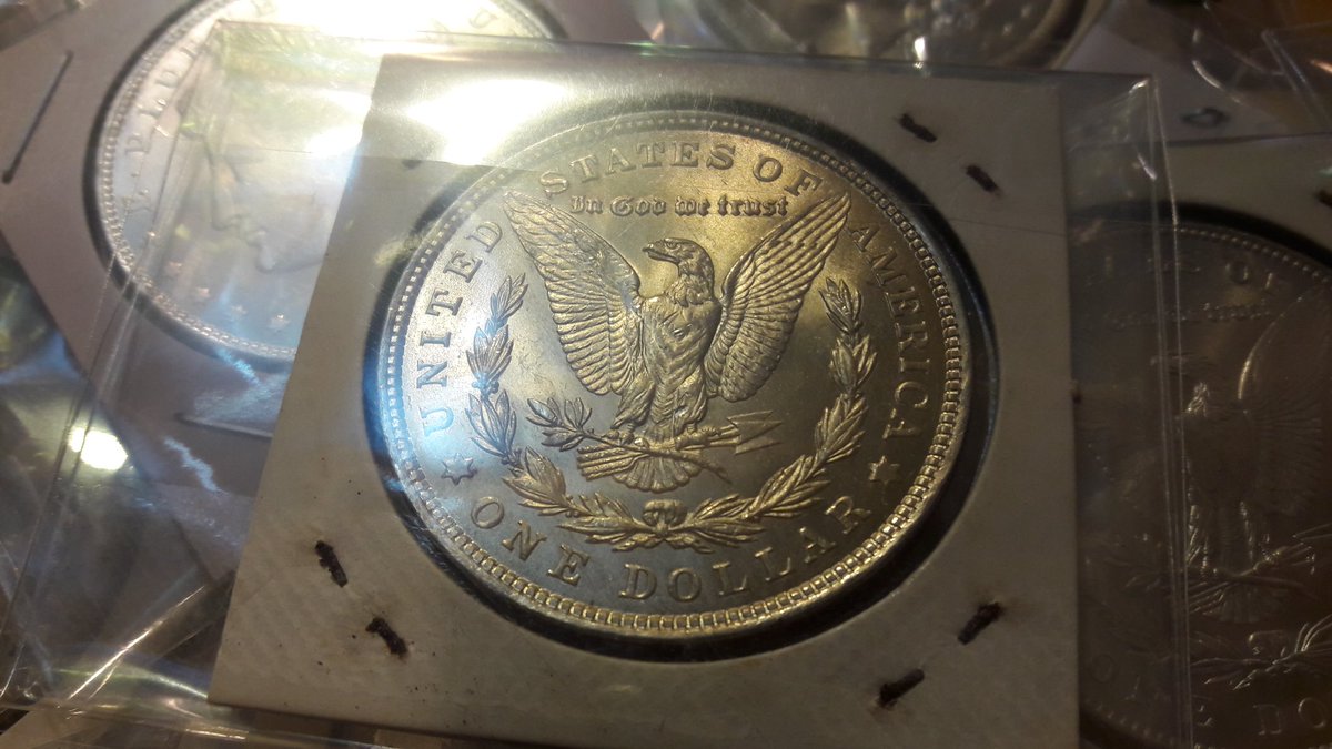 MORGAN Silver Dollar 
NGC Modern Grading Go Go~

Kakao: xkaal100
Address: 2F, 12-10, Nambusunhwan-ro 363-gil, Gangnam-gu, Seoul, Republic of Korea

#goldcoin7 #coinshop #coinstore #silver #morgan #dollar #America #NGC #grading #silvercoin #collector #collection #silver #standard