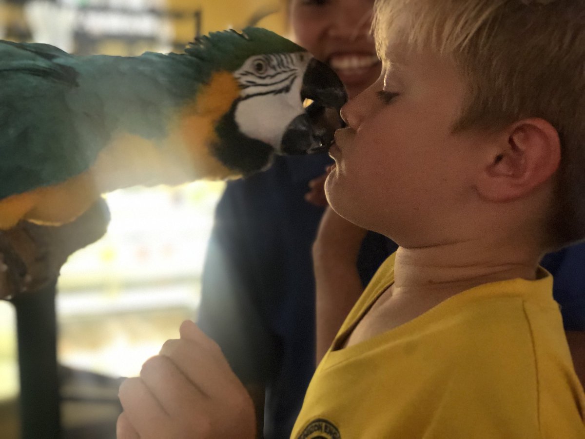 Horizon_Year5's tweet photo. Getting hands-on (and lips on!) with the creatures @EmiratesParkZoo. We can’t wait to use our understanding to continue our Living Things topic in Science! #HorizonScience #HorizonYear5 https://t.co/azqh3probj