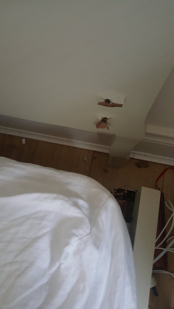 Hello <a href="/harveynormanIE/">Harvey Norman IE</a> we had this bed delivered a month ago. While we were asleep last night the bed collapsed. Scary stuff huh? 😮 Can you help us?