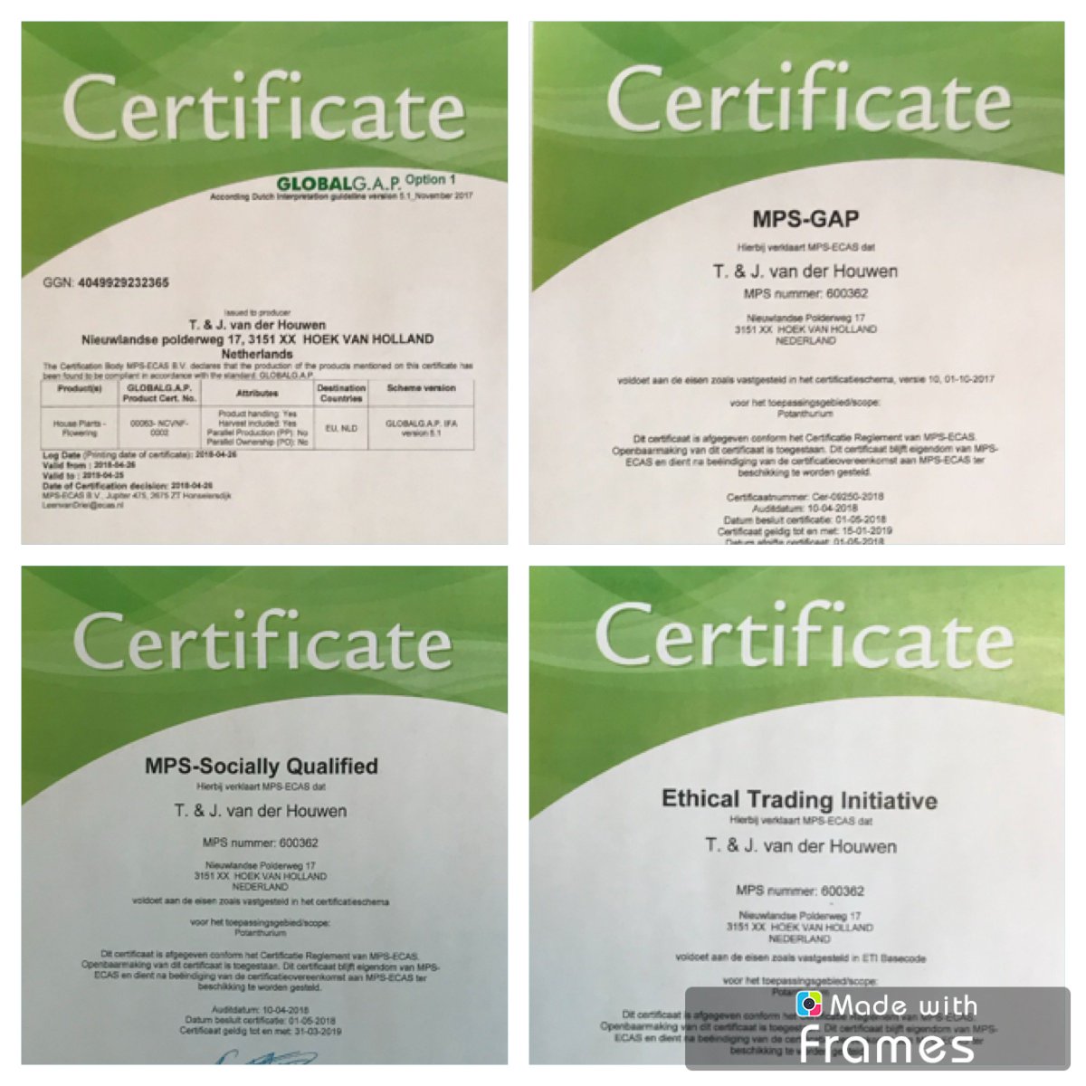 Houwenplant is weer trots op haar behaalde certificaten: 

•MPS GAP
•MPS Socially Qualified
•ETI
•GLOBAL GAP &amp; GRASP

Vanaf dit jaar dus ook GLOBAL GAP &amp; GRASP.