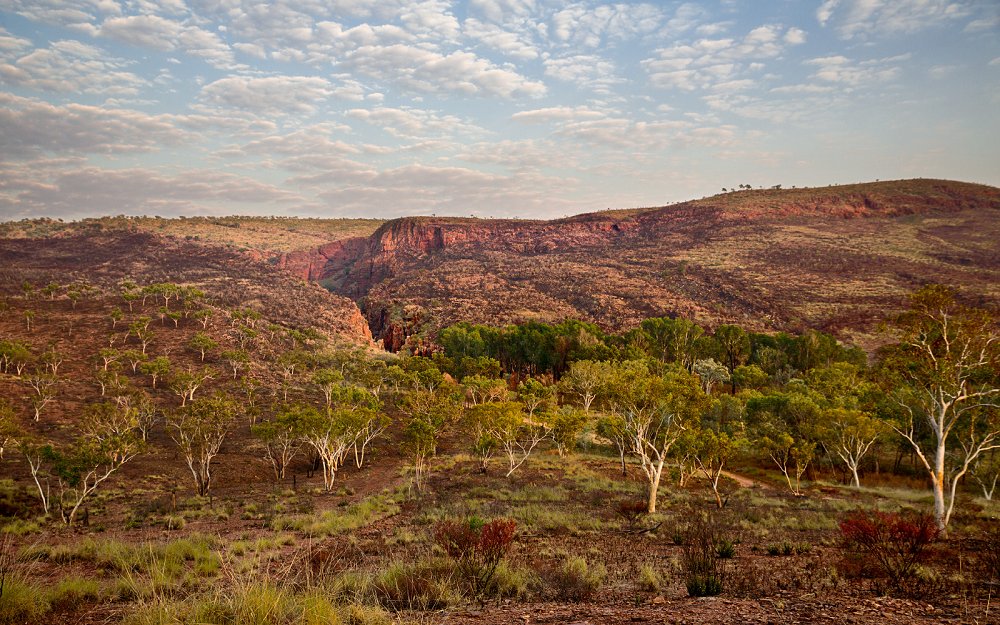 AHorth's tweet photo. Ragged edges, red earth dappled by green eucalypts and endless blue skies. The wild and remote Kimberley region. #outback #Australia #WesternAustralia #TheKimberley #capture #landscapes #NYC #Soho #NewYorkCity #WoosterSt  #MotherEarthKimberley #AnthonyHorthGallery https://t.co/kD8ExOrl4t
