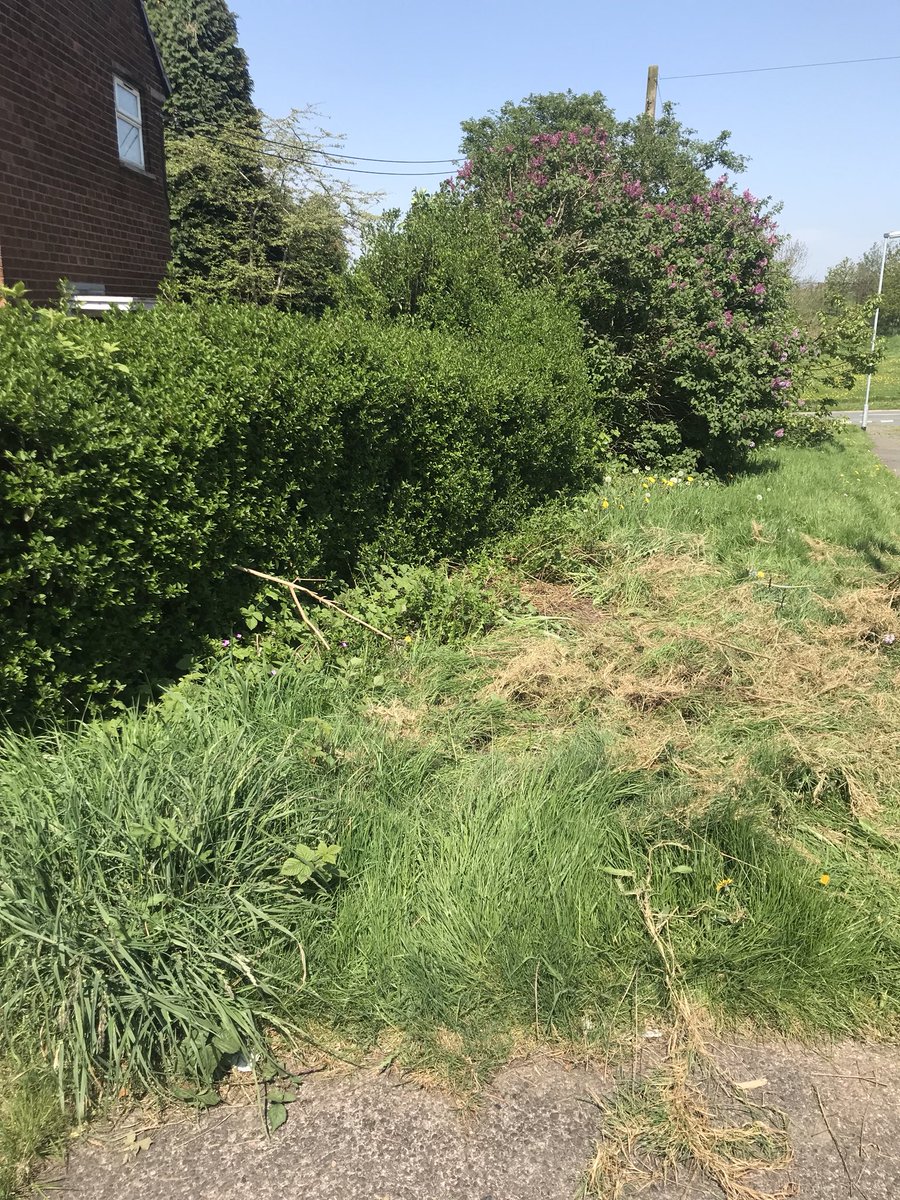 NatGarside's tweet photo. @Aspire_Housing I’ve report this a few times now, it the land at the side of my house on Rutland road, Kidsgrove. It’s not been cut in a long time and it’s so overgrown! Can someone please be sent out to sort it? It’s defiantly aspire land as I have had this confirmed a few times https://t.co/8HZyQmG9hE