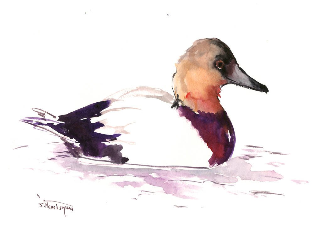 surenart's tweet photo. Canvasback Duck Artwork, watercolor duck painting one of a kind brown gray bathroom artwork https://t.co/A7yZNGFLOG #ORIGINALONLY #MyNewTag #Walldecor #BuffleheadDuck https://t.co/xXaApQUO1M