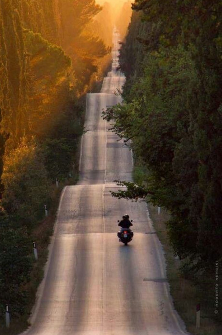 Motoscoot_net's tweet photo. Buenos días moteros! #FelizLunes
 
Arrancamos nueva semana con la resaca del #SpanishGP polémica incluida 😓
Visualizando nuevas metas 😌

Con esta preciosa foto de @RobertoNencini 🔝 https://t.co/e0j6frryzJ