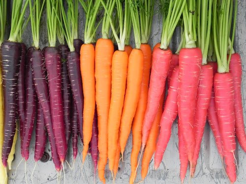 eyenutrients's tweet photo. There's more to eye nutrition than just carrots #dryeye https://t.co/ZKt7G4Mu9C
