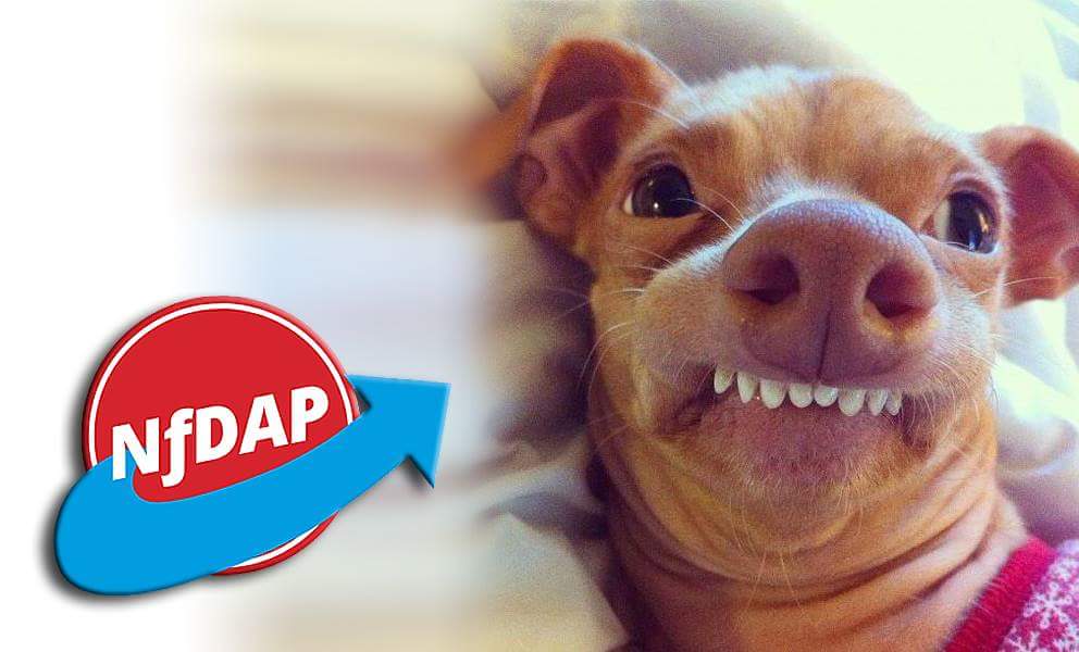 MarkBrandis1968's tweet photo. ... Sprachfehler! #NoAfD #cyanbraun #NoNPD https://t.co/XIHmz6etka