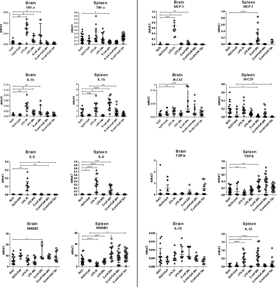 FrontiersIn's tweet photo. Published in @FrontNeurosci #MicroglialActivation After Systemic Stimulation With #Lipopolysaccharide and Escherichia coli: https://t.co/Lp1ounjPcD #microglia #systemicinfection https://t.co/HTyuazYWft