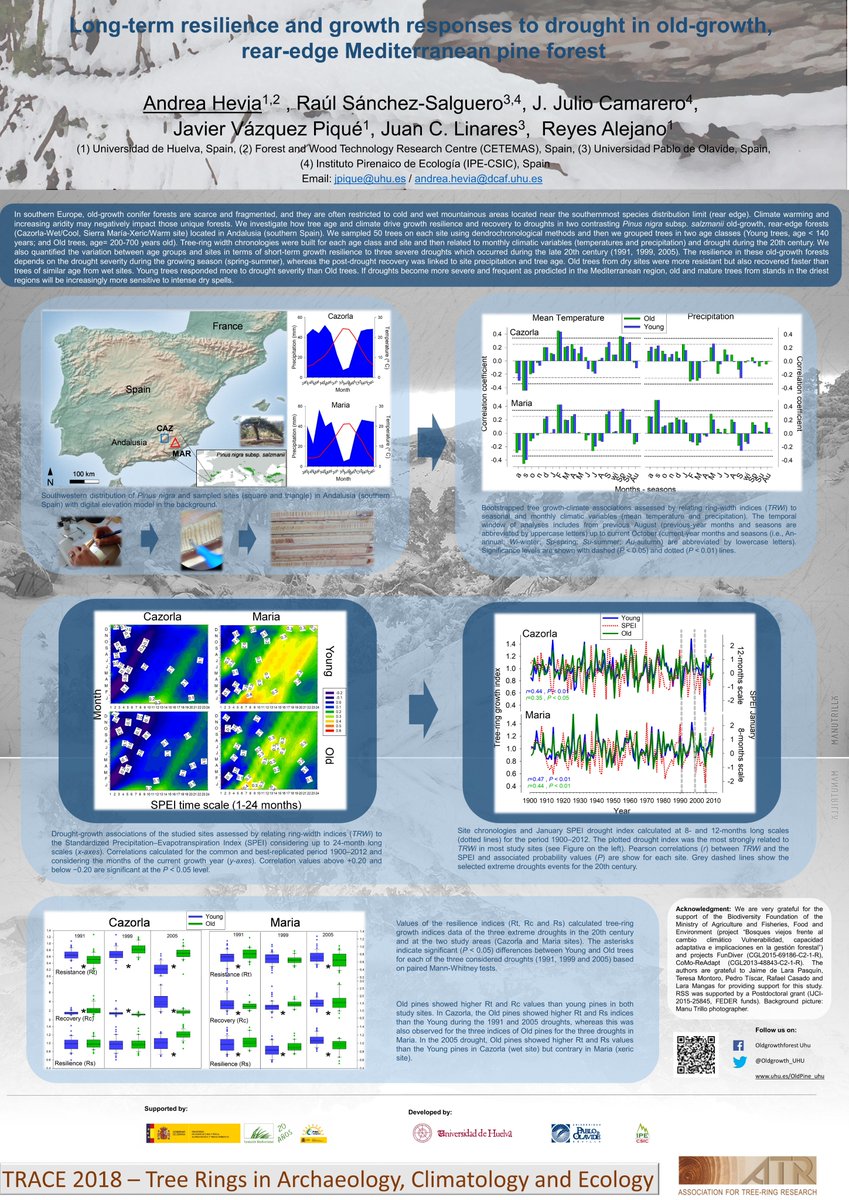 OldGrowth_UHU's tweet photo. Os animamos a visitar #divulgación en nuestra web https://t.co/klTKCwckUw: resultados presentados en Congresos Internacionales, vídeos promo exposición fotográfica #ManuTrillo. Pronto subiremos detalles del Seminario!😉 Proyecto @OldGrowth_UHU @FBiodiversidad https://t.co/O7WMDrEC6u