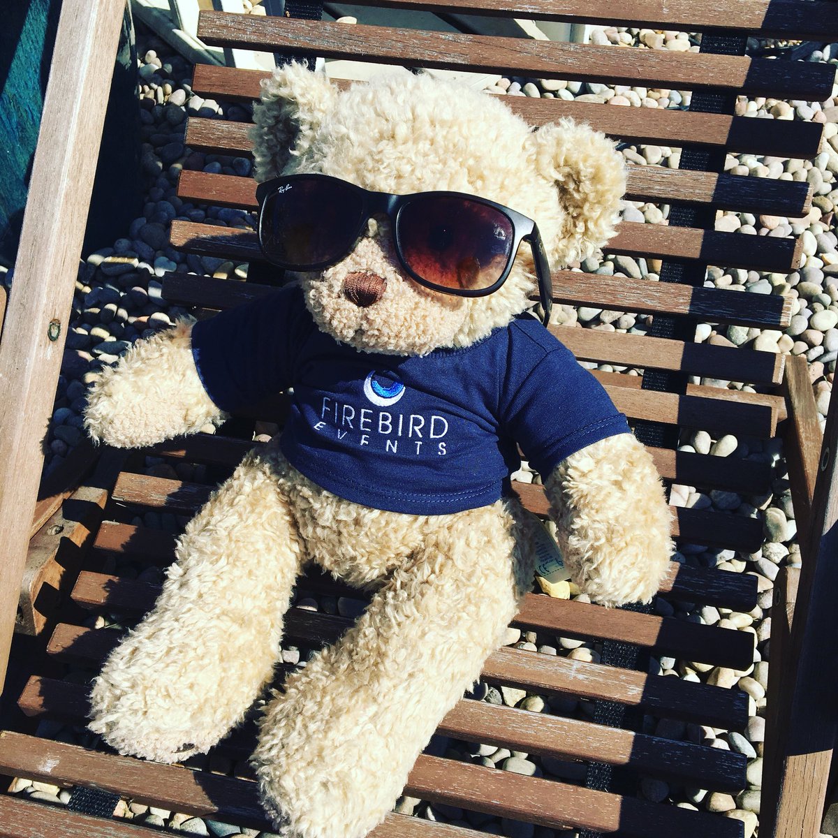 FirebirdEvents's tweet photo. Happy Bank Holiday Monday everyone! @Firebird_Ted is having a well-deserved relax in the sunshine today ready for another busy week at Firebird HQβ¦ βοΈπ»πΆ #eventprofs #bankholidaymonday #FirebirdTed https://t.co/uEAlKwt1P3