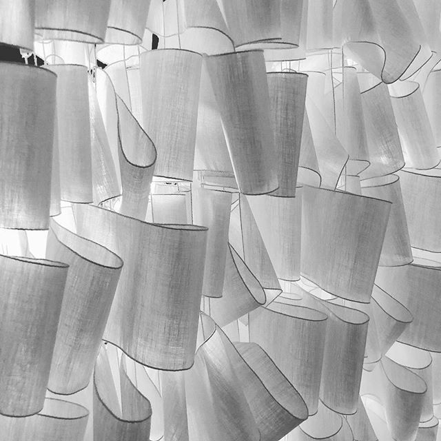 ootiat's tweet photo. #lacematerial #Blind #Sunshade #Transparent https://t.co/jb8APZyBDO https://t.co/26Rs11AGHD