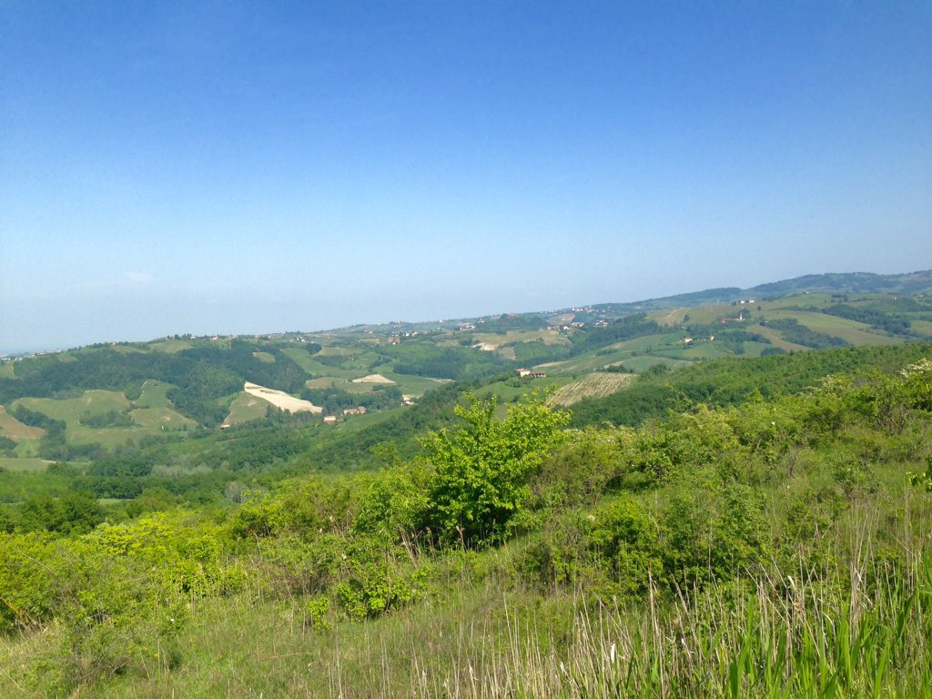 LMelusini's tweet photo. Passeggiando tra le finestre in #Oltrepo' #inLomhardia https://t.co/kj2gZgrOmS