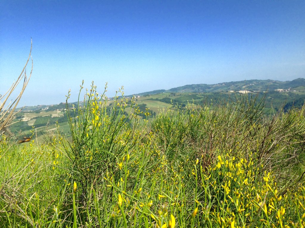 LMelusini's tweet photo. Passeggiando tra le finestre in #Oltrepo' #inLomhardia https://t.co/kj2gZgrOmS