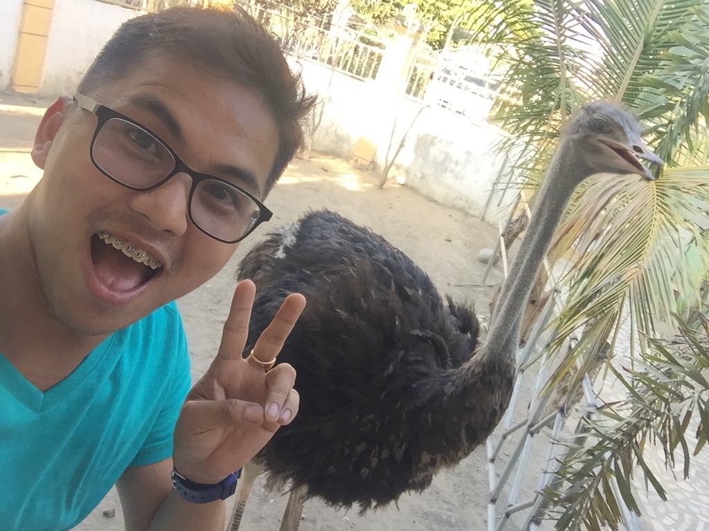 PurYow's tweet photo. Hey Big Bird!!!
#ostrich #whenintarlac https://t.co/unUfaVp3Yt
