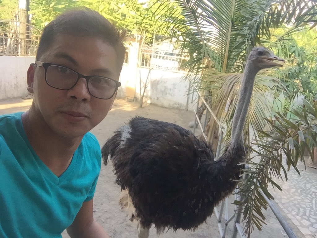 PurYow's tweet photo. Hey Big Bird!!!
#ostrich #whenintarlac https://t.co/unUfaVp3Yt