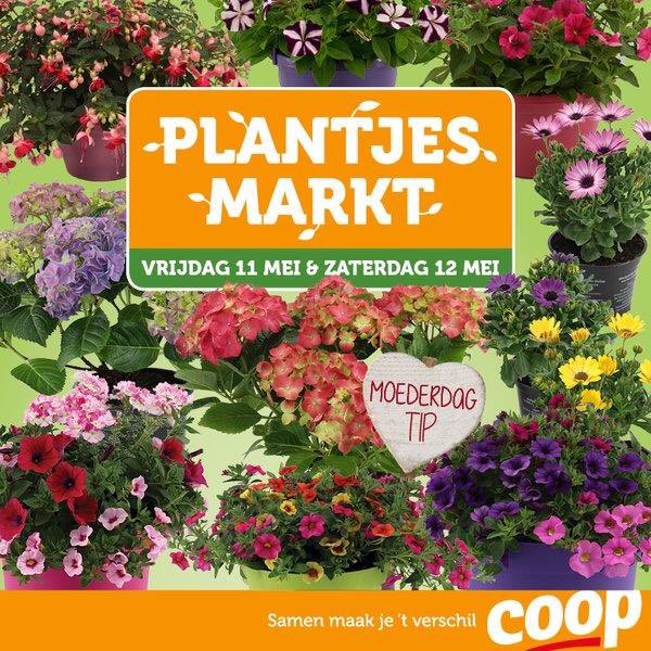 Coop de Westereen (@coop156) on Twitter photo 