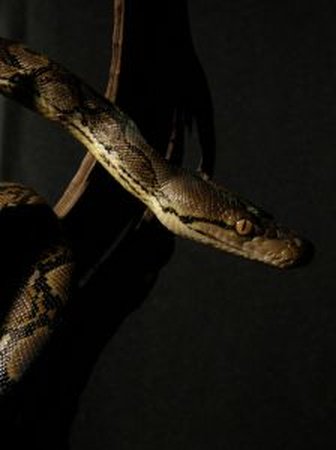 tomjames_95's tweet image. #PythonTutorial, #PythonDebugging Ready Player One is a $175 million spectacle goo.gl/bcjsp3