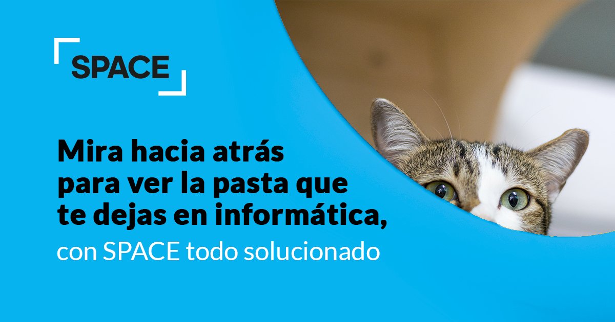 No miras hacia atrás. Con Space NO tienes necesidad de comprar. TODO tu equipo informático de última generación 💻

Te ofrecemos tu equipo informático y mucho más en pago por uso, y te lo renovamos cada tres años. space-workplace.com