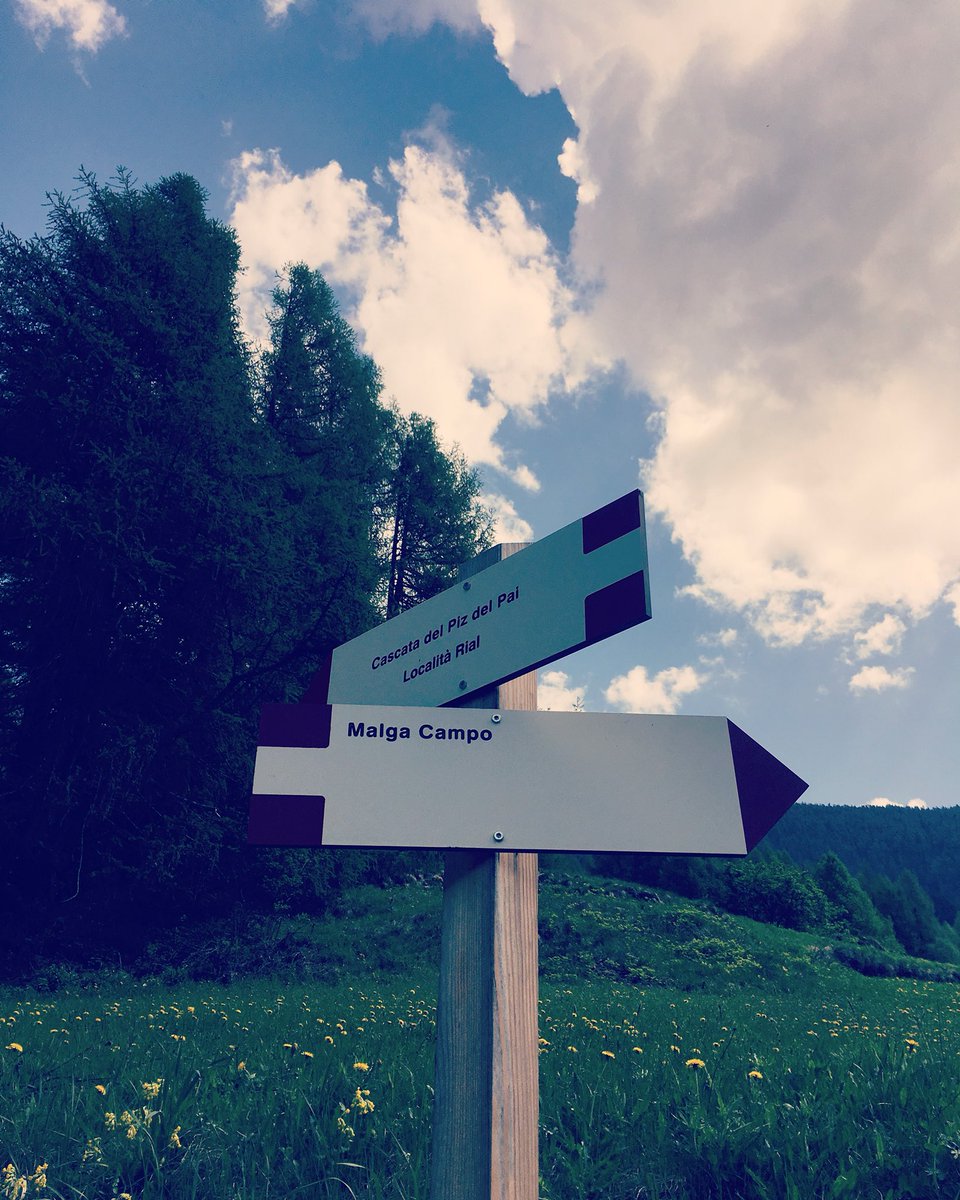 ChaletAlpenrose's tweet photo. La libertà è una scelta di vita, tutto stà nello scegliere la giusta direzione per raggiungerla 🙃 
#Alpenrosehappiness #direction #mountain #mountainlovers #mountainlife #travel #travelblogger #wandern #wanderlust #enjoynglife #behappy #happymoments #trentino #valdipeio https://t.co/KBVJAAmaBz