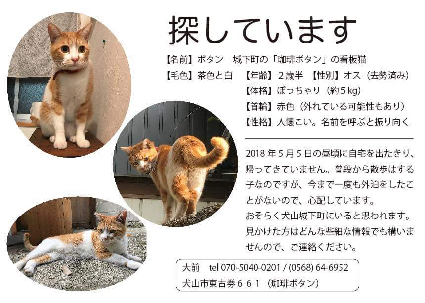 たかまる 城郭検定 １級リベンジ結果まち 犬山城マイスター على تويتر 犬山城下町にある 珈琲ボタン ここな看板猫のボタン オス が大冒険に行ったまま 帰ってこないそうです みなさん どんな些細なことでもよいので 情報提供してください よろしく