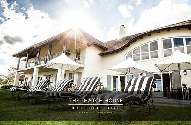 thethatchhouse's tweet photo. Have a magnificent Monday

#thethatchhouse #boutiquehotel #hotel #discoveroverberg #lovehermanus #mondaymotivation #poolside #relax #sunshine #judithlehmannphotography #capetown #capetownguide #travel #holiday #holidaydestination #hermanustourism #mustvi… https://t.co/IAIoyhNTcr https://t.co/jOxfb4WEsg
