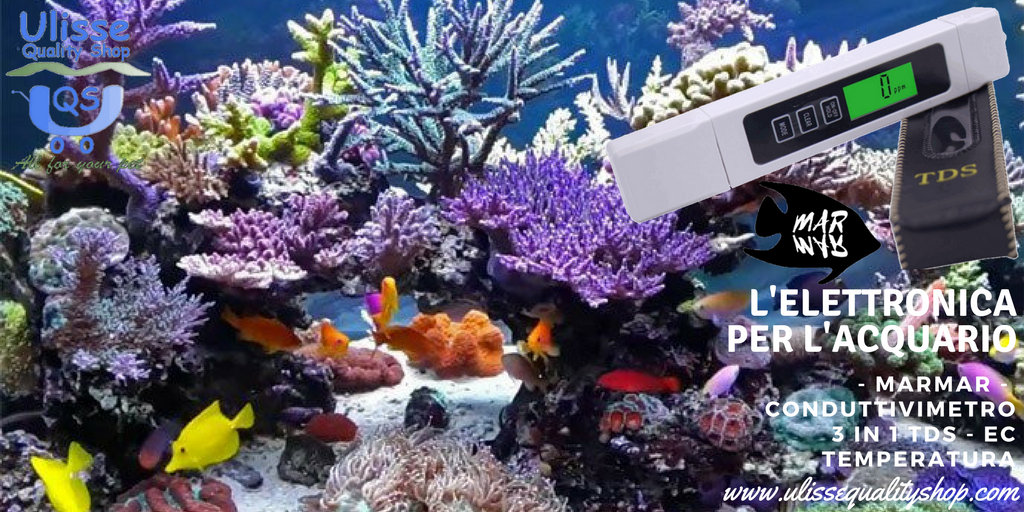 UlisseQualitySh's tweet photo. Conduttivimetro #MarMar. 3 funzioni, 1 tester. Per gli ambienti più esigenti del tuo #acquario #Marino. Scopri di più.
https://t.co/1AQ7PHtHCx
#conduttivimetro #TDS #EC #ulissequalityshop #marmar #acquari #Discus #acquariomarino #acquariofilia https://t.co/fTSu3qTxDh