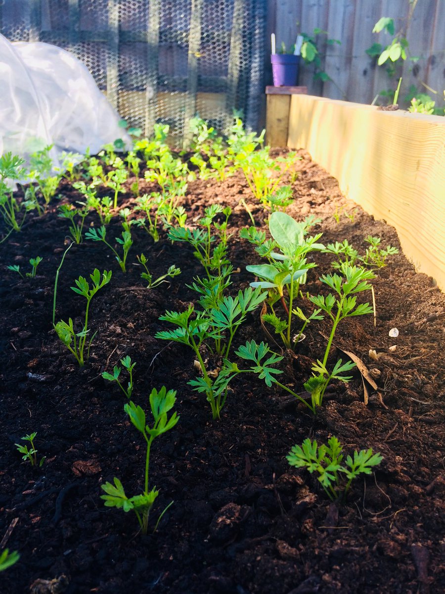 The Truzz Social tweet media