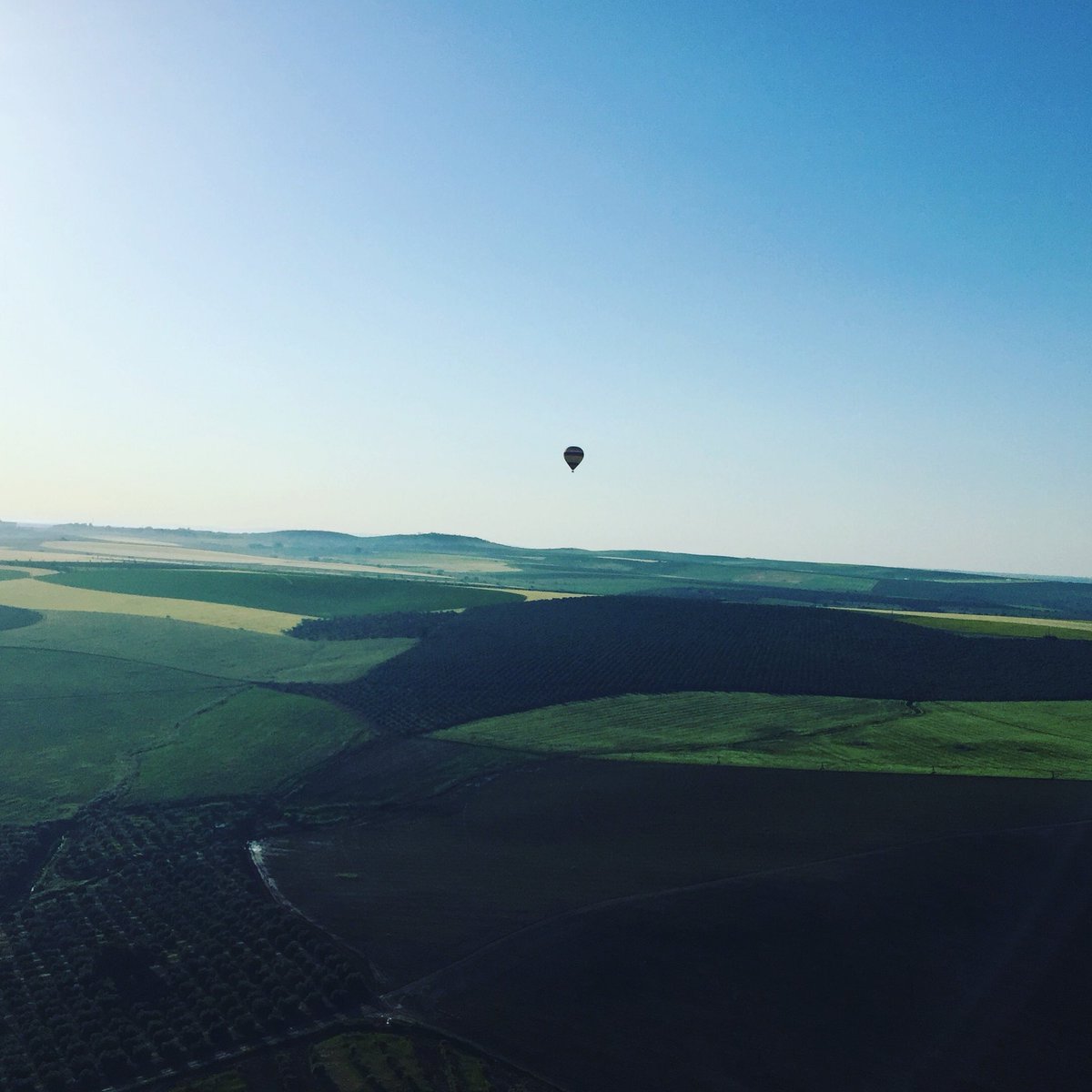Up Alentejo tweet media