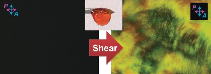 angew_chem's tweet image. Genetically engineered #polypeptide fluids: Fast and persistent self-ordering induced by touch #LiquidCrystals #birefringence #PhaseTransitions doi.wiley.com/10.1002/anie.2…