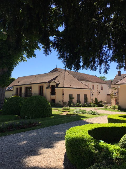 _Billecart's tweet photo. [Billecart Life]
Peaceful garden and a glass of #BlancdeBlancs, the perfect way to start this week under the sun ☀️
#billecartestate #billecartlife #garden #spring https://t.co/QY2AZezzyZ