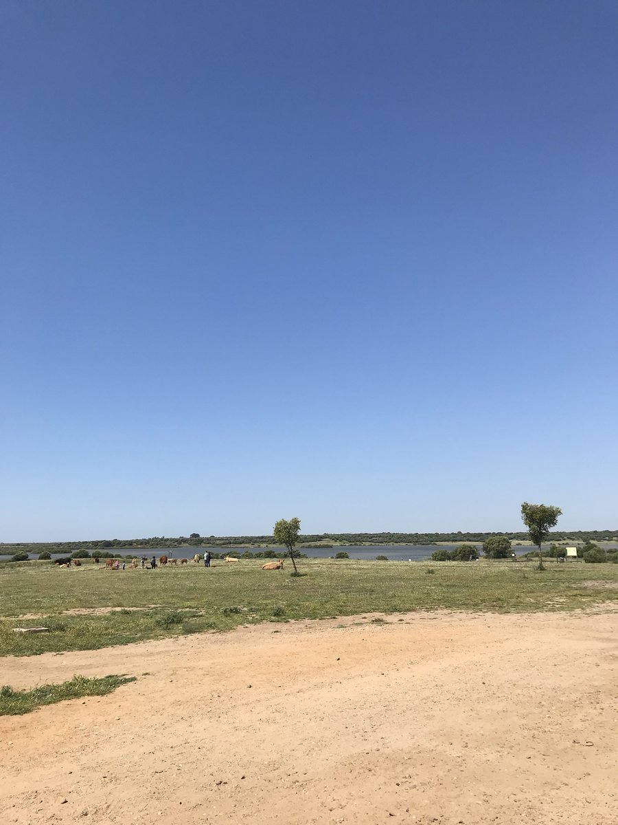 MatrakaBikers's tweet photo. Nunca nos fuimos. Ayer tocó un poco de pinares de la Puebla del Rio con parada obligatoria en la Dehesa de Abajo #btt #mtb #MatrakaBikers #LaPueblaDelRio #DehesaDeAbajo https://t.co/I6WvvMsW23