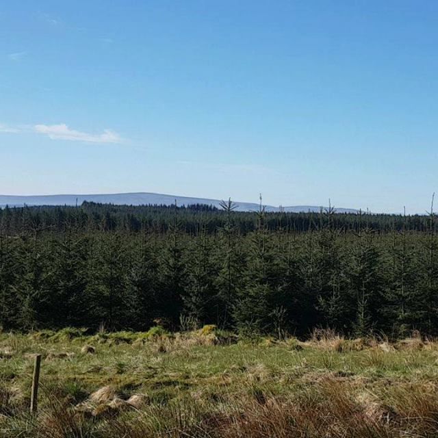 WallTogether's tweet image. The glorious open skies of North East Cumbria, Hadrians Wall to the Nth Pennines   #lakedistrictnationalpark #northpenninesaonb #northpennines #EHHardianswall #HofHradianswall #forest #country #rural #northofthewall #forgottenlands #blueskies #placetobe buff.ly/2rpBFYd