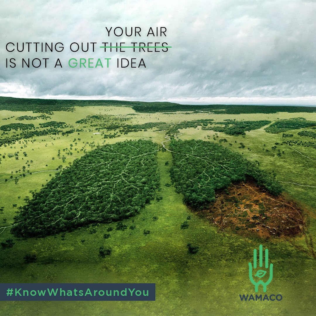 Wamaco_India's tweet photo. #3 Rain forests are cut down at a rate of 100-acres per minute. That's 69 cricket grounds vanishing every minute. Almost 10 of them gone since you started reading this. Not a great fact, but a great reality people!
#Environment #KnowWhatsAroundYou #May #RainForest #EveryMinute https://t.co/1QmTMYoKCS