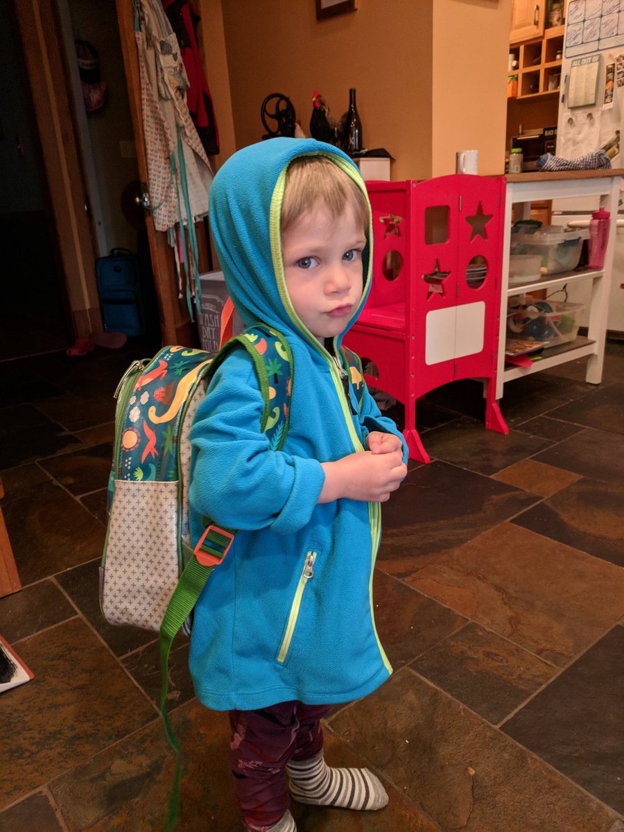kzinsser's tweet photo. We woke up feeling sad b/c not every family in #IL can access high quality child care.  So we're coming to DC to talk w/ @RepDannyDavis @SenDuckworth @SenatorDurbin about how much learning and growing I'm doing! #StrollingThunder #thinkbabies #ECE #EarlyChildhood https://t.co/1Liextaeh0