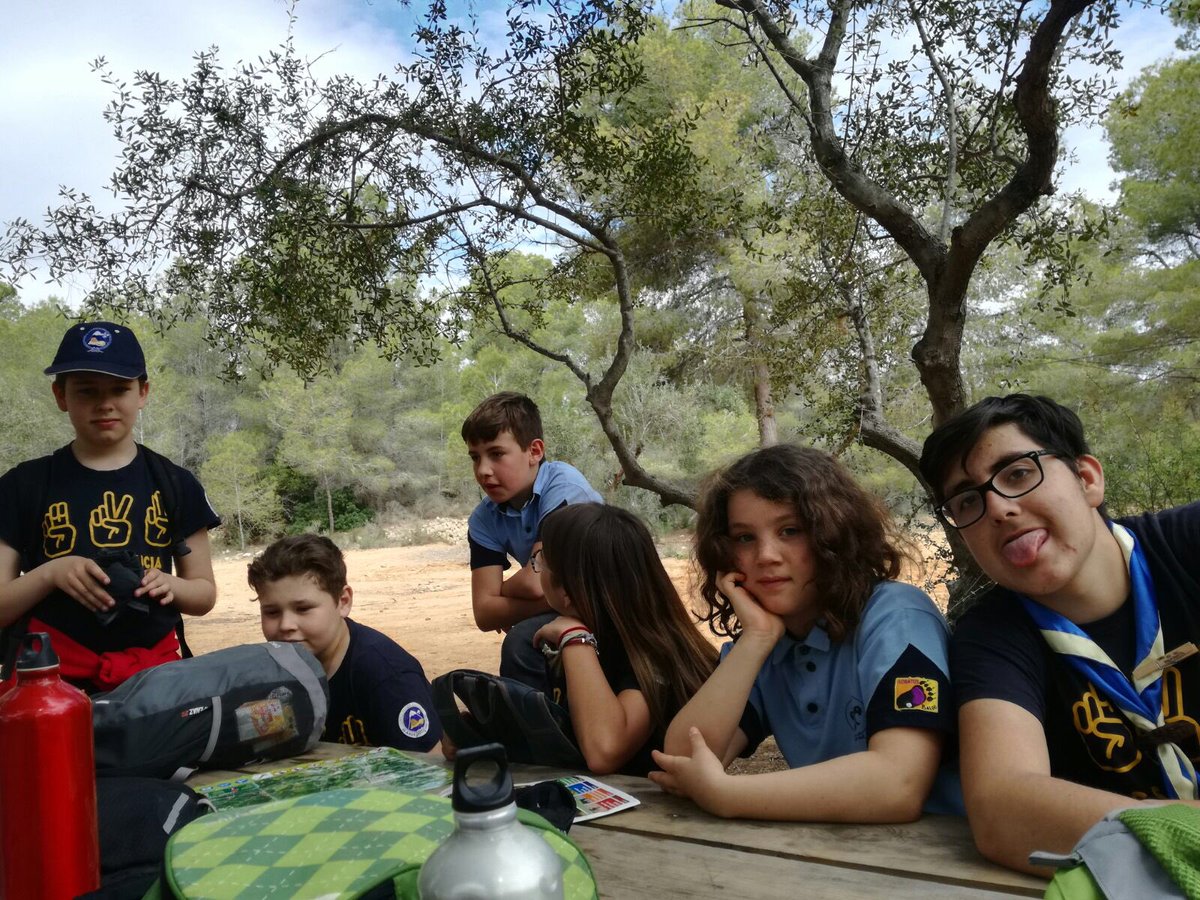 Grup Scout La Nucia tweet media