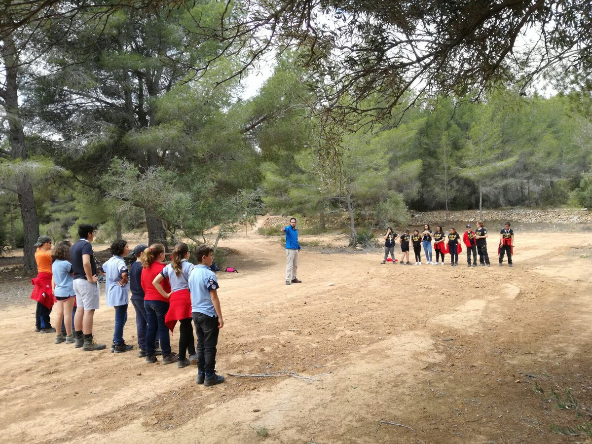 Grup Scout La Nucia tweet media
