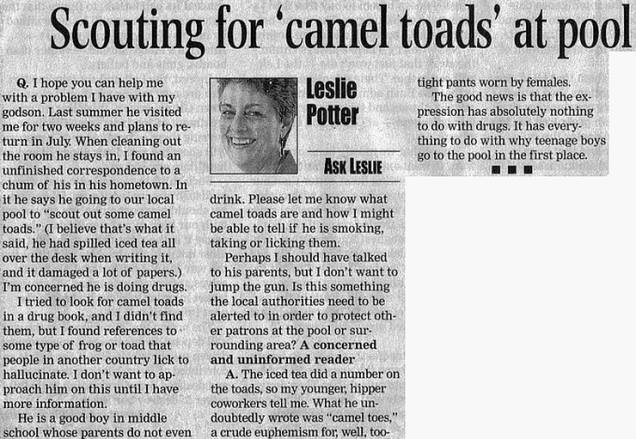 KyleAndrewTweet's tweet photo. If you wake up on the wrong side of the bed today and this doesn't fix your mood, you can't be saved. #CamelToad https://t.co/RAXtGaEHXs