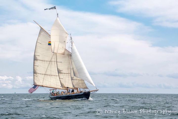 HinduCharters's tweet image. 