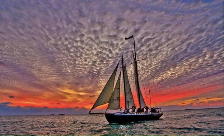 HinduCharters's tweet image. 