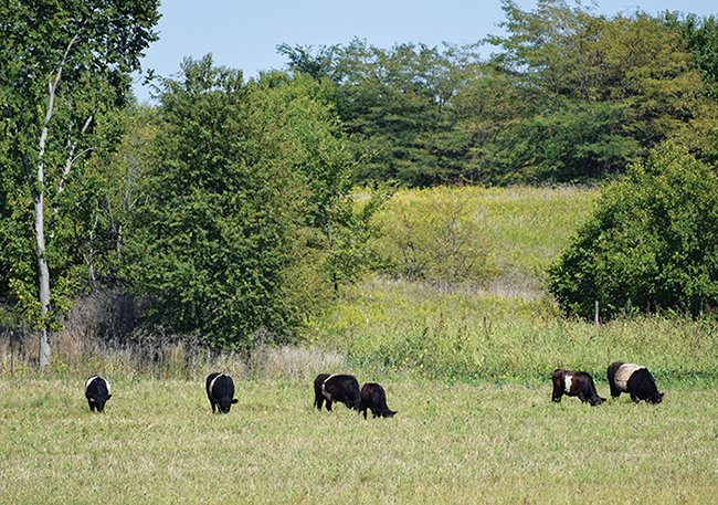 marbleseedorg's tweet photo. Got cattle? Solid advice to improve your crop yields from 2 MOSES Organic Farmers of the Year: https://t.co/uPYxVN6VTW https://t.co/i8MUUk1an1