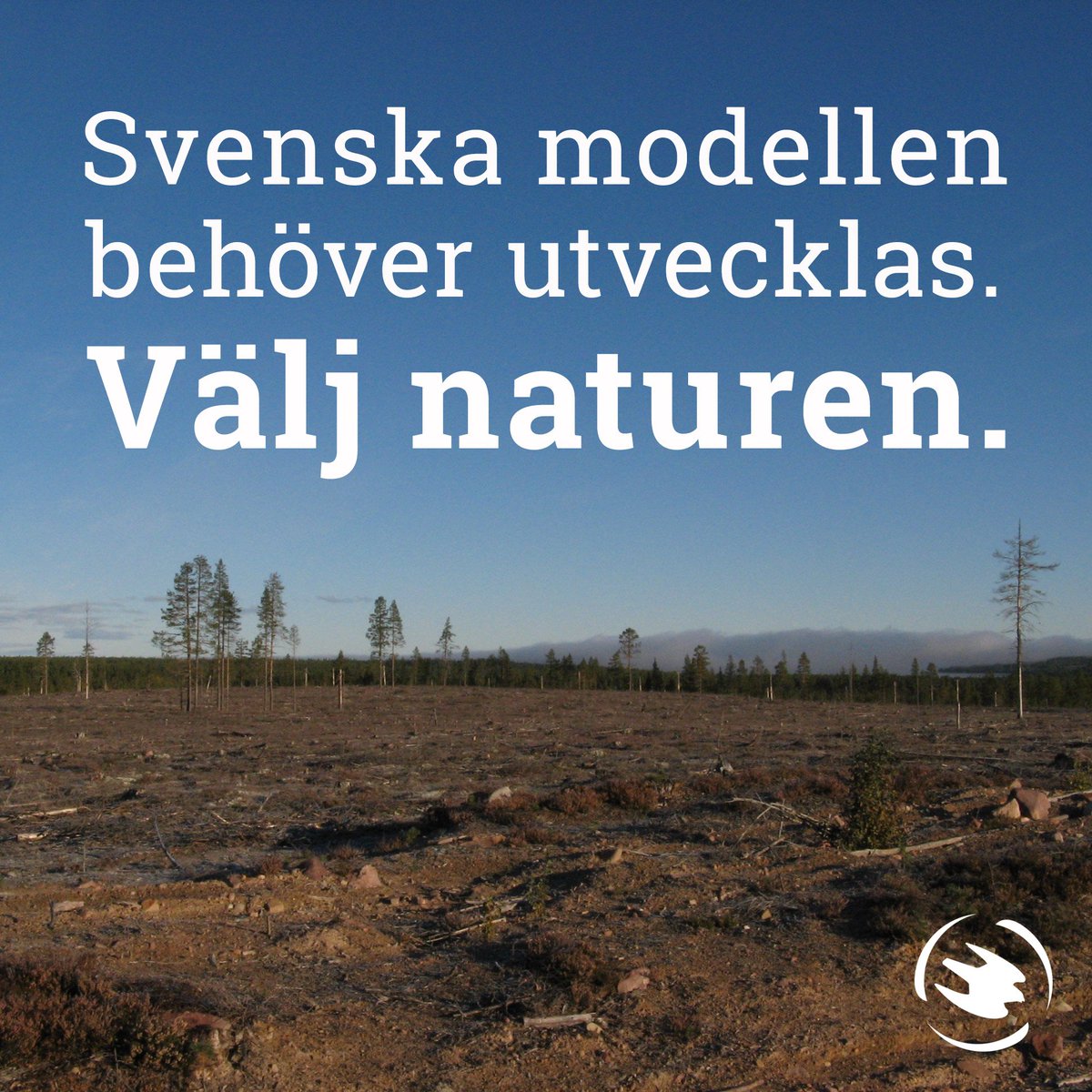 Sedan 50-talet har mer än 60 procent av våra skogar kalhuggits och av de djur och växter som lever i skogen är över 900 hotade. Det behövs en ny svensk modell för hur skogen brukas och skogar med höga naturvärden måste skyddas. naturskyddsforeningen.se/vad-vi-gor/sko… 
#väljnaturen, #svpol