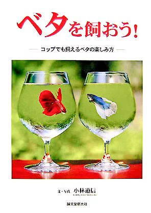 「コップで飼えるベタ」ベタは飛び跳ねるからこういう売り方はやめてほしい！
