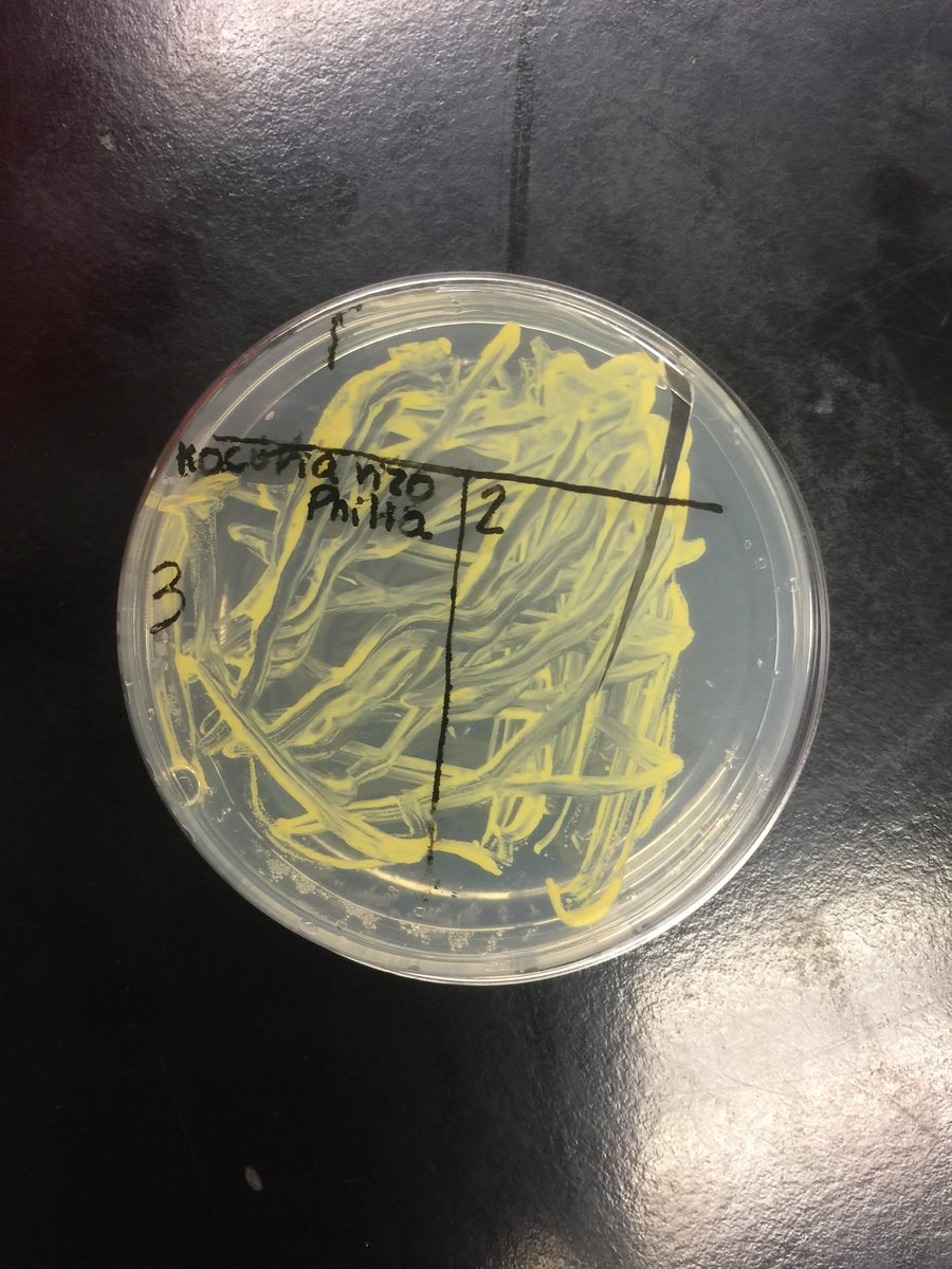 DouDakin's tweet photo. @sharpbiology @CollierScience @collierschools https://t.co/kTDSKHSGub