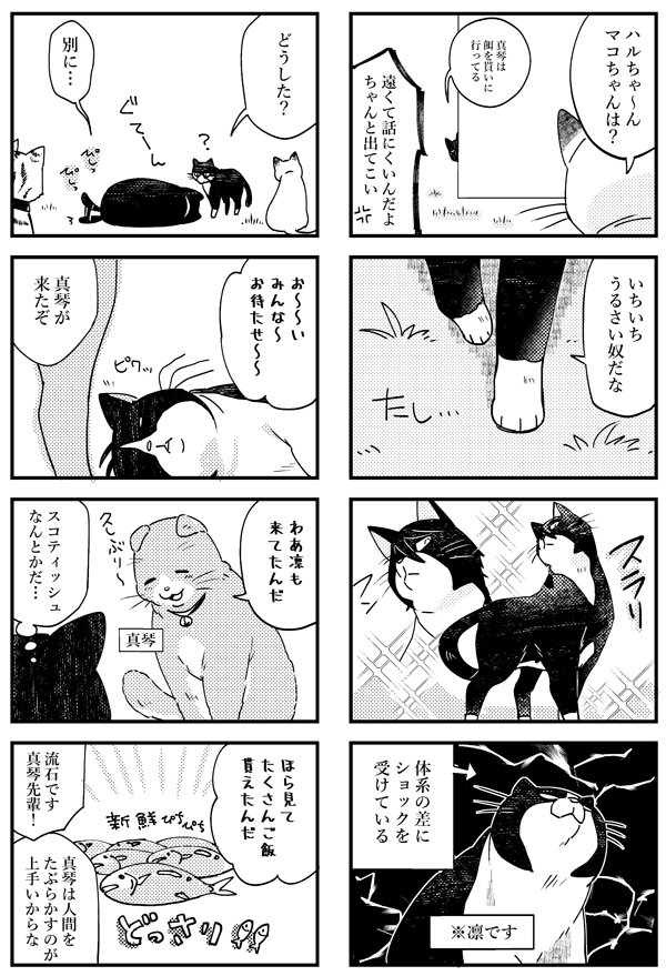 スパコミで売ってたコピー本の中身一部。
表紙は猫耳岡だけど中は全部ネコという仕様でした。表紙買いして「クッソw」ってなった人が1人でもいれば本望です。 
