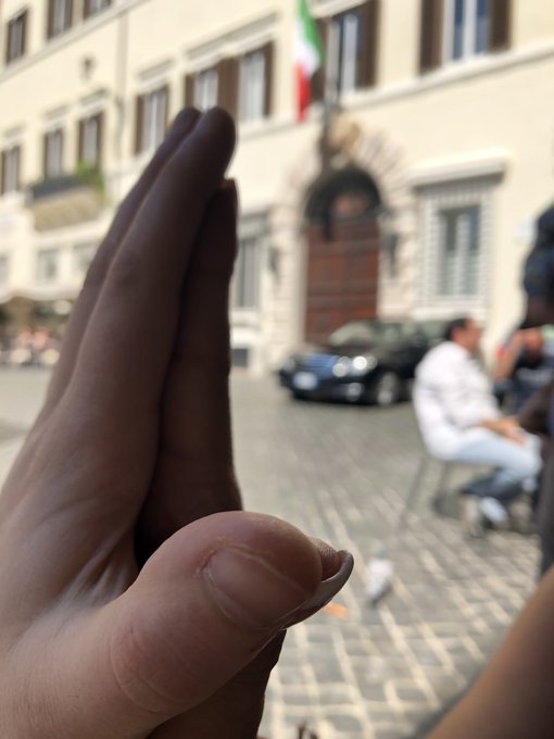 Two paws as one!!!! #italy #amore https://t.co/nmucZj9Sjg<a href="/tag/italy"class="tags">#italy</a><a href="/tag/amore"class="tags">#amore</a>